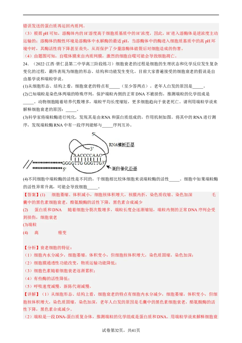 解密05细胞的生命历程（分层训练)（解析版）_新高考复习资料_2023年新高考复习资料_二轮复习_高频考点解密2023年高考生物二轮复习讲义+分层训练（全国通用）288808838