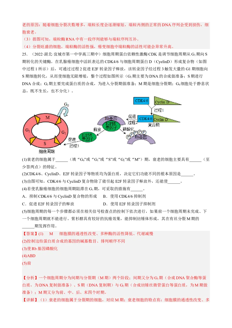 解密05细胞的生命历程（分层训练)（解析版）_新高考复习资料_2023年新高考复习资料_二轮复习_高频考点解密2023年高考生物二轮复习讲义+分层训练（全国通用）288808838