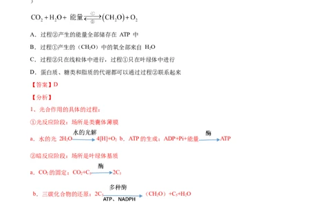 解密05ATP的主要来源（分层训练）（解析版）_新高考复习资料_2021年新高考资料_高频考点解密2021年高考生物二轮复习讲义+分层训练4.7更新