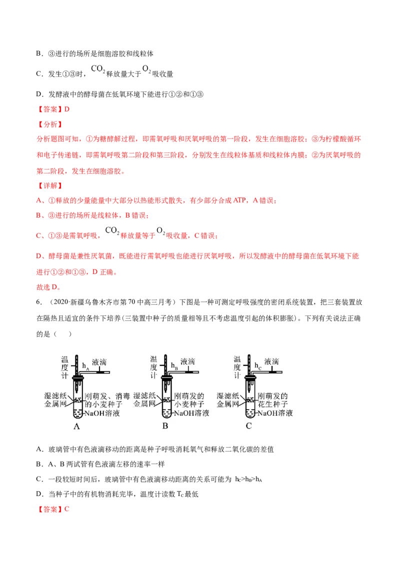 解密05ATP的主要来源（分层训练）（解析版）_新高考复习资料_2021年新高考资料_高频考点解密2021年高考生物二轮复习讲义+分层训练4.7更新