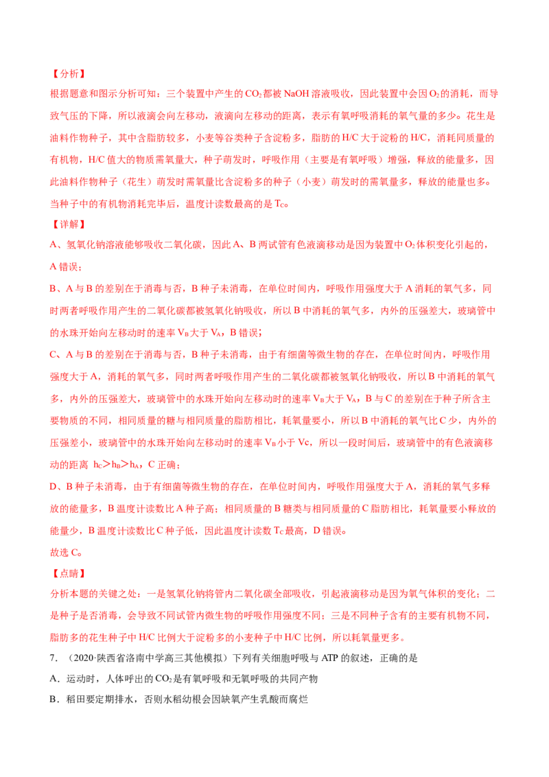 解密05ATP的主要来源（分层训练）（解析版）_新高考复习资料_2021年新高考资料_高频考点解密2021年高考生物二轮复习讲义+分层训练4.7更新
