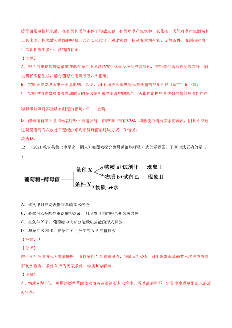 解密05ATP的主要来源（分层训练）（解析版）_新高考复习资料_2021年新高考资料_高频考点解密2021年高考生物二轮复习讲义+分层训练4.7更新