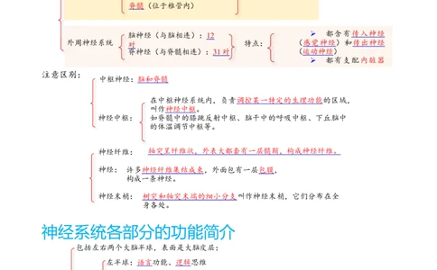 解密11神经调节（讲义)（教师版）_通用版（老高考）复习资料_2023年复习资料_二轮复习_高频考点解密2023年高考生物二轮复习讲义+分层训练（全国通用）