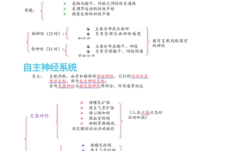 解密11神经调节（讲义)（教师版）_通用版（老高考）复习资料_2023年复习资料_二轮复习_高频考点解密2023年高考生物二轮复习讲义+分层训练（全国通用）