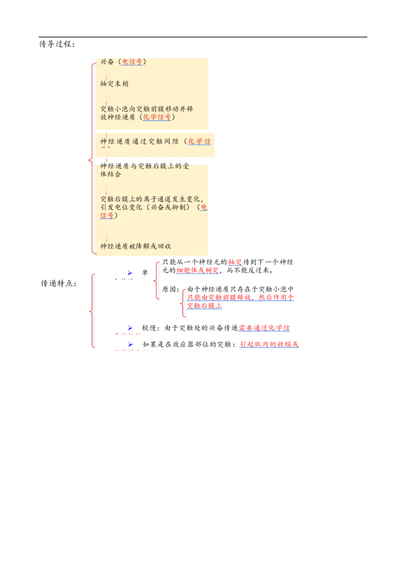 解密11神经调节（讲义)（教师版）_通用版（老高考）复习资料_2023年复习资料_二轮复习_高频考点解密2023年高考生物二轮复习讲义+分层训练（全国通用）