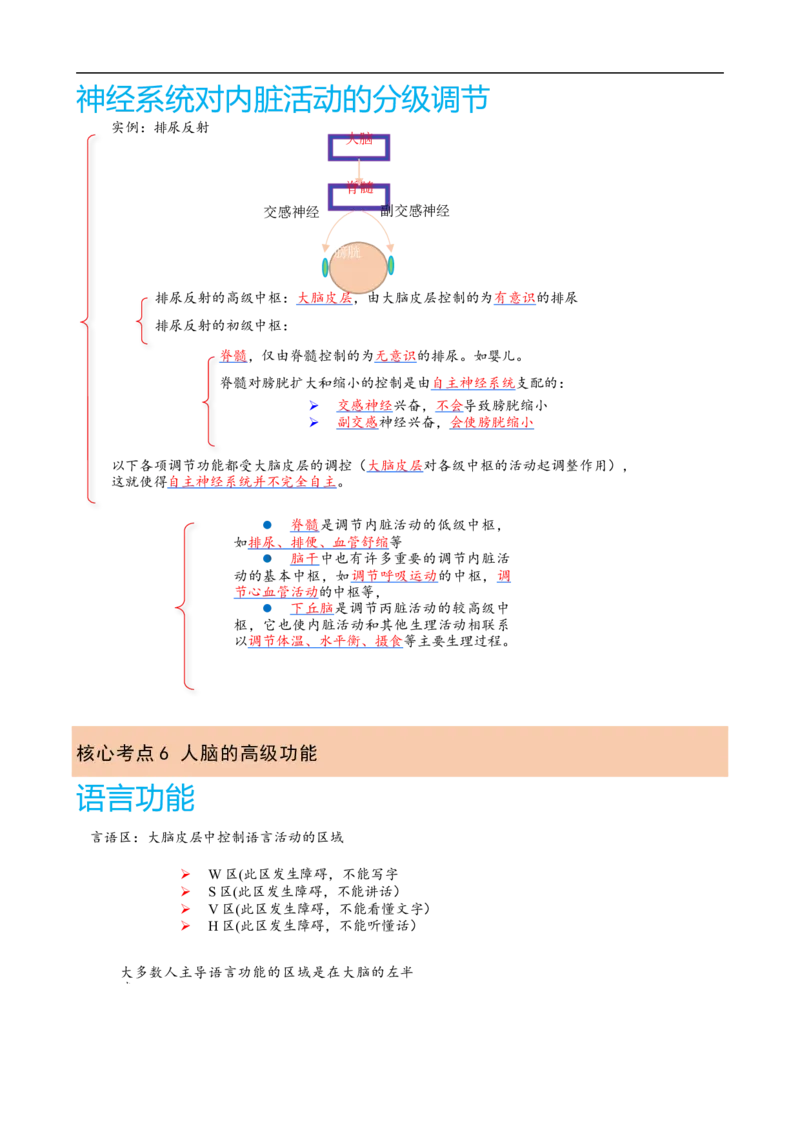 解密11神经调节（讲义)（教师版）_通用版（老高考）复习资料_2023年复习资料_二轮复习_高频考点解密2023年高考生物二轮复习讲义+分层训练（全国通用）