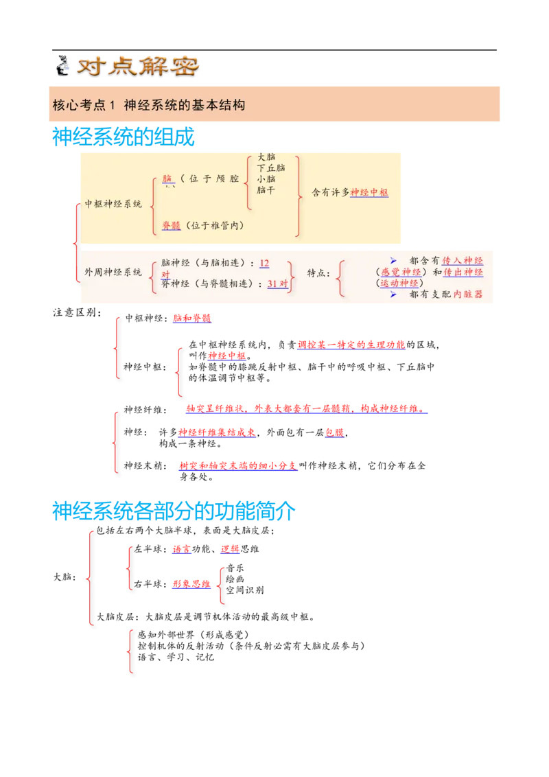 解密11神经调节（讲义)（教师版）_通用版（老高考）复习资料_2023年复习资料_二轮复习_高频考点解密2023年高考生物二轮复习讲义+分层训练（全国通用）