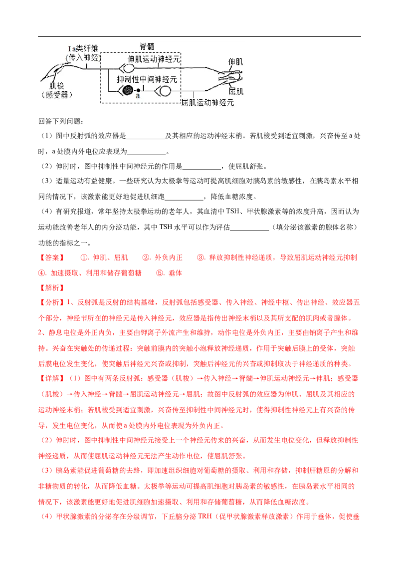 解密11神经调节（讲义)（教师版）_通用版（老高考）复习资料_2023年复习资料_二轮复习_高频考点解密2023年高考生物二轮复习讲义+分层训练（全国通用）