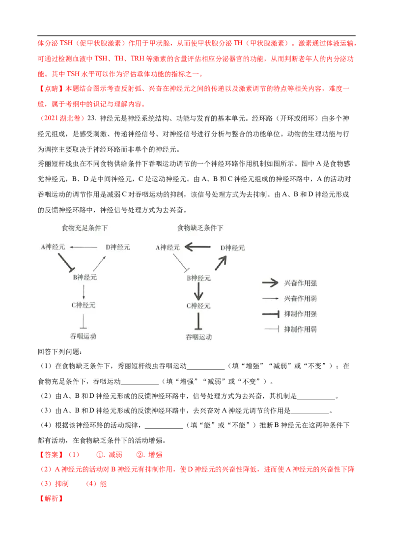 解密11神经调节（讲义)（教师版）_通用版（老高考）复习资料_2023年复习资料_二轮复习_高频考点解密2023年高考生物二轮复习讲义+分层训练（全国通用）