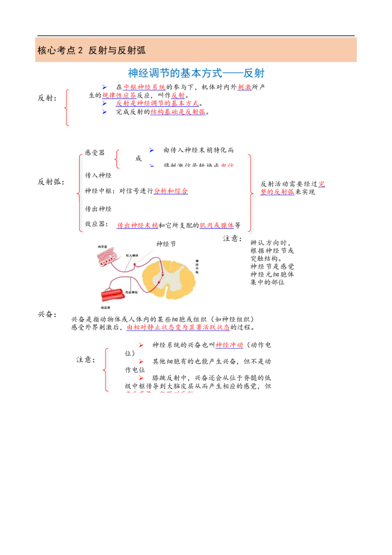 解密11神经调节（讲义)（教师版）_通用版（老高考）复习资料_2023年复习资料_二轮复习_高频考点解密2023年高考生物二轮复习讲义+分层训练（全国通用）