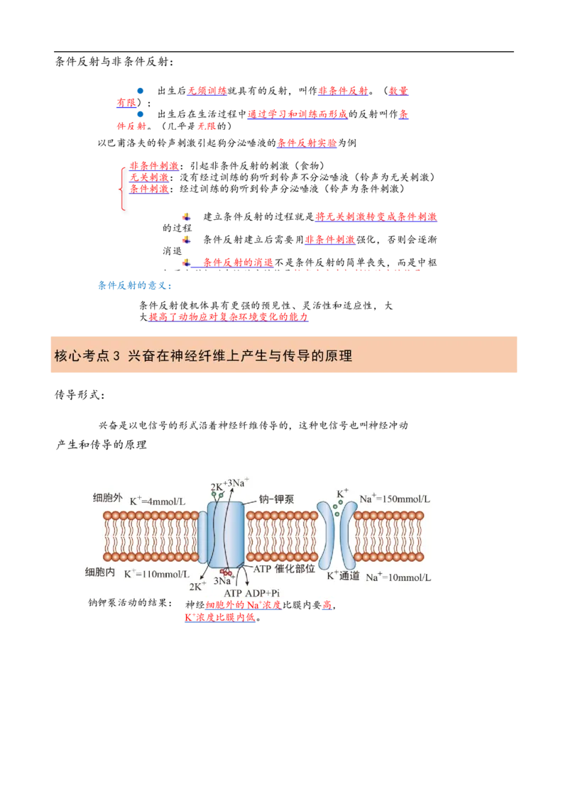 解密11神经调节（讲义)（教师版）_通用版（老高考）复习资料_2023年复习资料_二轮复习_高频考点解密2023年高考生物二轮复习讲义+分层训练（全国通用）