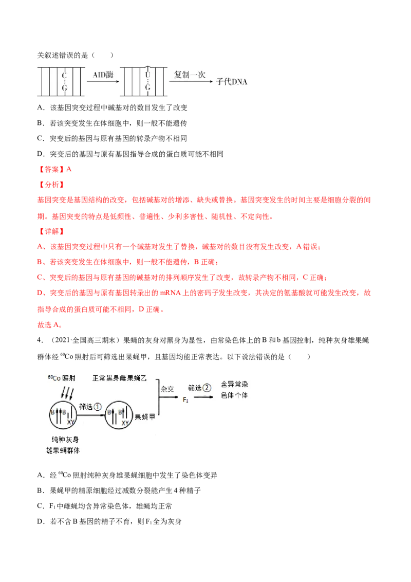 解密13生物的变异与育种（分层训练）（解析版）_新高考复习资料_2021年新高考资料_高频考点解密2021年高考生物二轮复习讲义+分层训练4.7更新