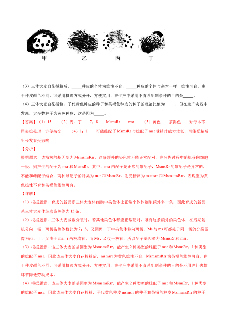 解密13生物的变异与育种（分层训练）（解析版）_新高考复习资料_2021年新高考资料_高频考点解密2021年高考生物二轮复习讲义+分层训练4.7更新