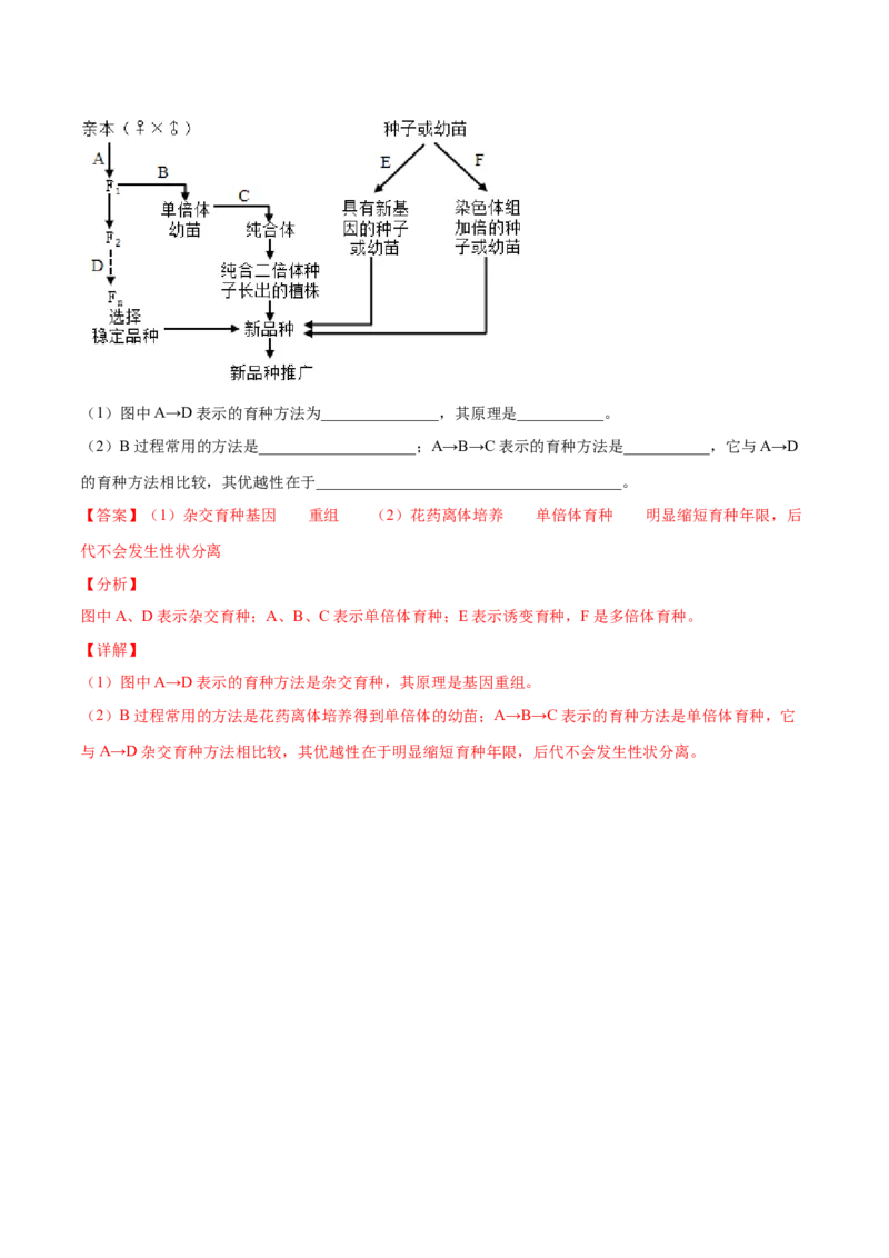解密13生物的变异与育种（分层训练）（解析版）_新高考复习资料_2021年新高考资料_高频考点解密2021年高考生物二轮复习讲义+分层训练4.7更新
