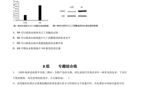 解密25生物技术在食品加工及其他方面的应用（分层训练）（原卷版）_新高考复习资料_2021年新高考资料_高频考点解密2021年高考生物二轮复习讲义+分层训练4.7更新
