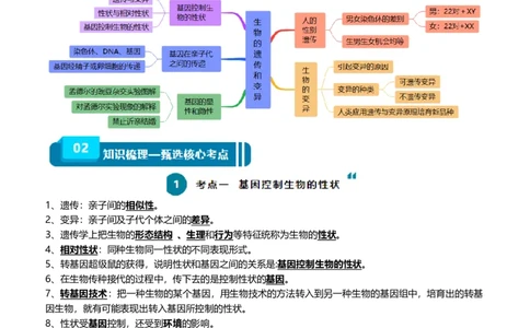 清单13生物的遗传和变异（5大考点+6大高频命题点（学生版）_6生物中考复习_2024年中考复习资料_一轮复习资料_完口袋书2024年中考生物一轮复习知识清单