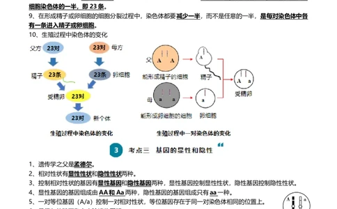 清单13生物的遗传和变异（5大考点+6大高频命题点（学生版）_6生物中考复习_2024年中考复习资料_一轮复习资料_完口袋书2024年中考生物一轮复习知识清单