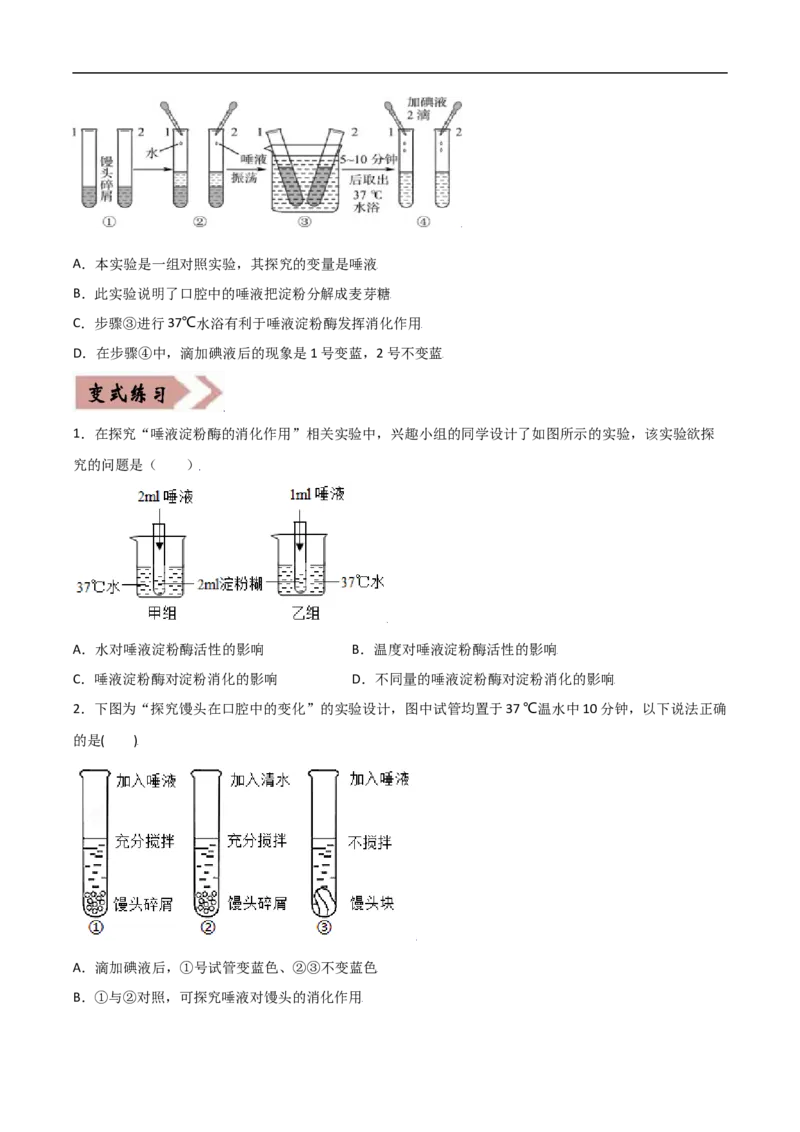 易错点08人体的营养-备战2022年中考生物考试易错题（原卷版）_6生物中考复习_2023年中考复习资料_专项复习_备战2022年中考生物考试易错题