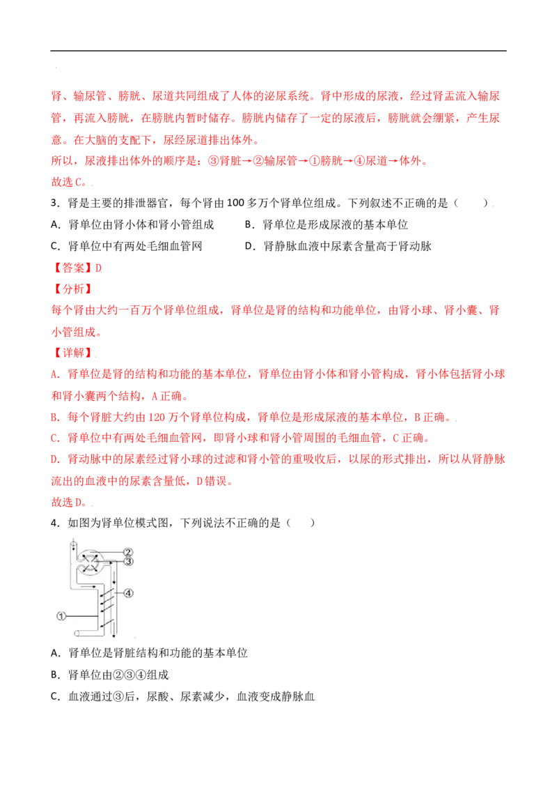 易错点11人体内废物的排出-备战2022年中考生物考试易错题（解析版）_6生物中考复习_2023年中考复习资料_专项复习_备战2022年中考生物考试易错题