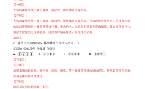 易错点11人体内废物的排出-备战2022年中考生物考试易错题（解析版）_6生物中考复习_2023年中考复习资料_专项复习_备战2022年中考生物考试易错题