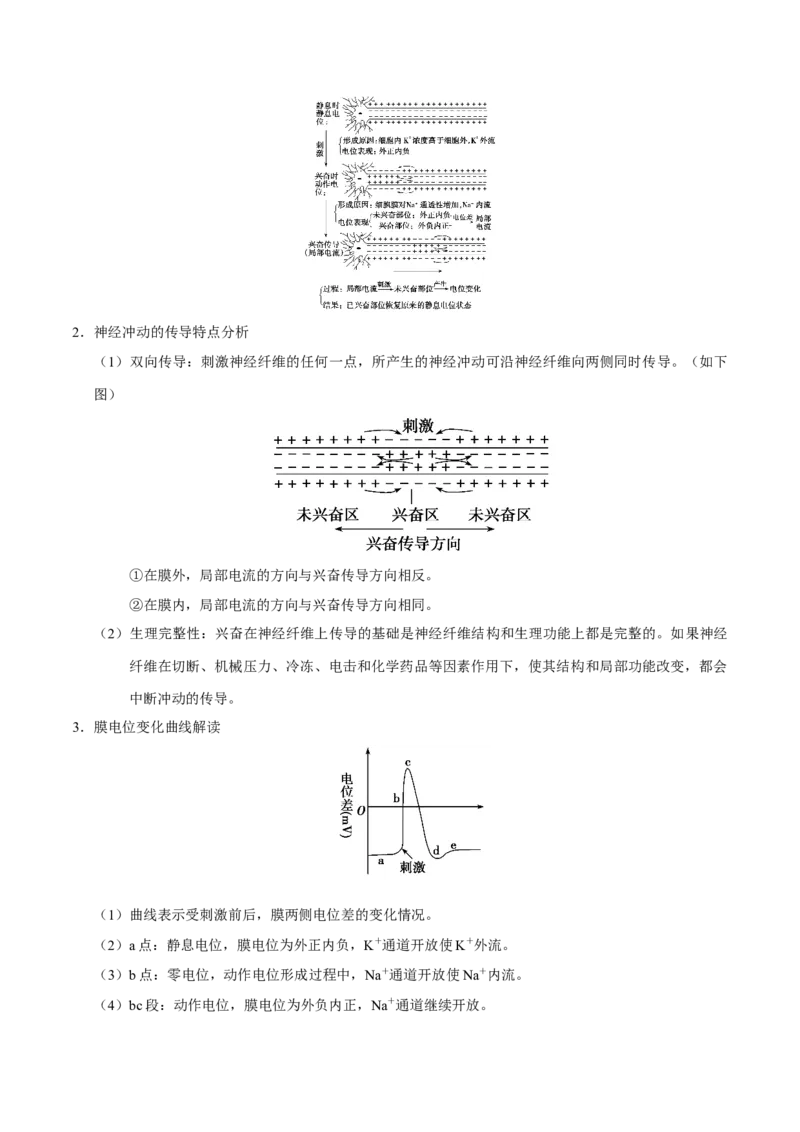 解密16神经调节（讲义）-高频考点解密2021年高考生物二轮复习讲义+分层训练_新高考复习资料_2021年新高考资料_高频考点解密2021年高考生物二轮复习讲义+分层训练4.7更新