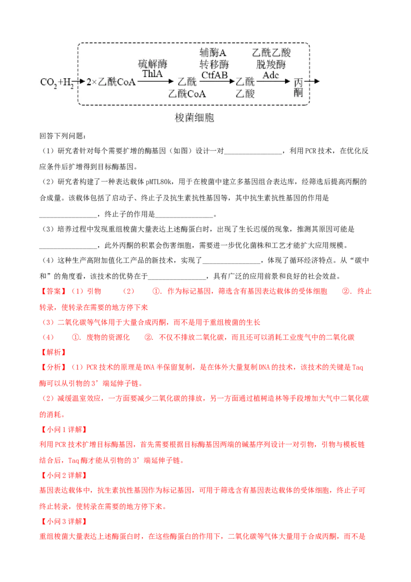 解密19基因工程（讲义）（教师版）_新高考复习资料_2023年新高考复习资料_二轮复习_高频考点解密2023年高考生物二轮复习讲义+分层训练（全国通用）288808838