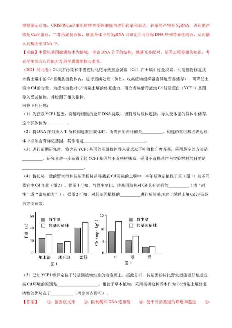 解密19基因工程（讲义）（教师版）_新高考复习资料_2023年新高考复习资料_二轮复习_高频考点解密2023年高考生物二轮复习讲义+分层训练（全国通用）288808838