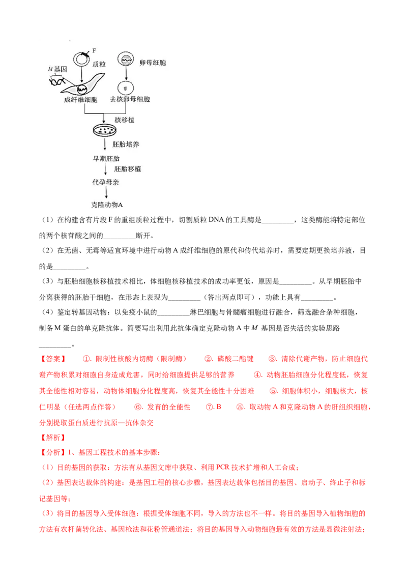 解密19基因工程（讲义）（教师版）_新高考复习资料_2023年新高考复习资料_二轮复习_高频考点解密2023年高考生物二轮复习讲义+分层训练（全国通用）288808838