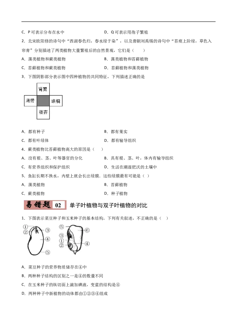 易错点03生物圈中的绿色植物-备战2022年中考生物考试易错题（原卷版）_6生物中考复习_2023年中考复习资料_专项复习_备战2022年中考生物考试易错题