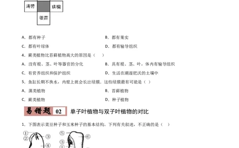 易错点03生物圈中的绿色植物-备战2022年中考生物考试易错题（原卷版）_6生物中考复习_2023年中考复习资料_专项复习_备战2022年中考生物考试易错题