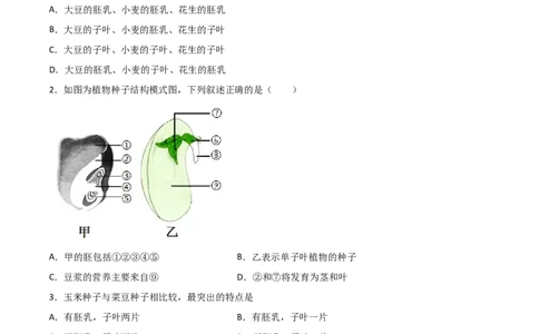易错点03生物圈中的绿色植物-备战2022年中考生物考试易错题（原卷版）_6生物中考复习_2023年中考复习资料_专项复习_备战2022年中考生物考试易错题