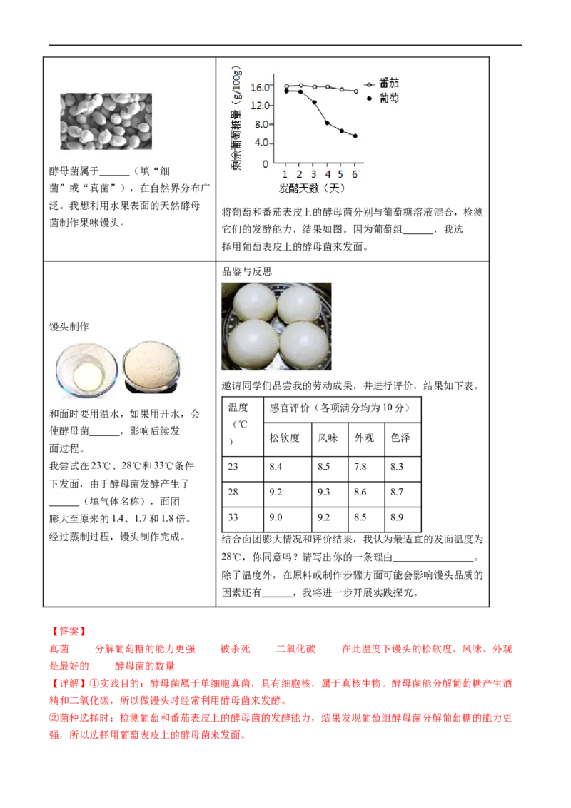 清单10细菌、真菌和病毒（6大考点+2大高频命题点）（教师版）_6生物中考复习_2024年中考复习资料_一轮复习资料_完口袋书2024年中考生物一轮复习知识清单_教师版（含答案解析）
