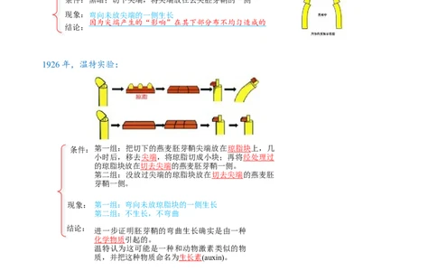 解密14植物生命活动的调节（讲义)（教师版）_新高考复习资料_2023年新高考复习资料_二轮复习_高频考点解密2023年高考生物二轮复习讲义+分层训练（全国通用）288808838