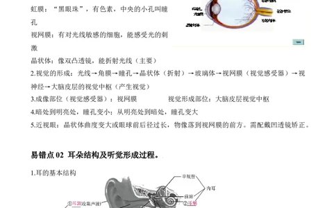易错点12人体生命活动的调节-备战2022年中考生物考试易错题（原卷版）_6生物中考复习_2023年中考复习资料_专项复习_备战2022年中考生物考试易错题