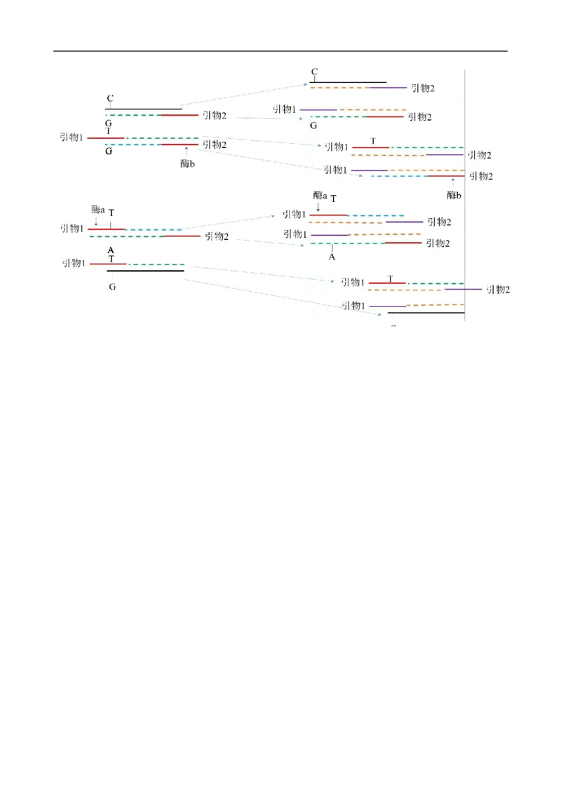 解密19基因工程（讲义）（教师版）_通用版（老高考）复习资料_2023年复习资料_二轮复习_高频考点解密2023年高考生物二轮复习讲义+分层训练（全国通用）