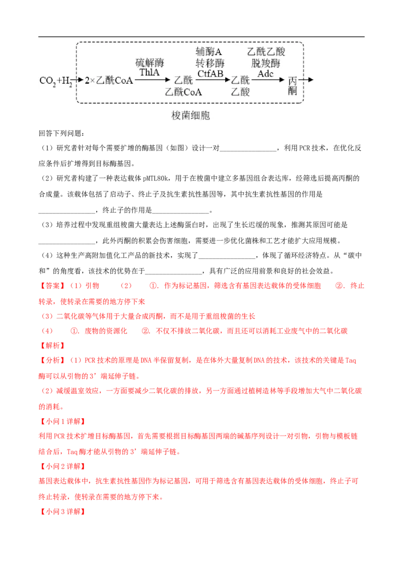解密19基因工程（讲义）（教师版）_通用版（老高考）复习资料_2023年复习资料_二轮复习_高频考点解密2023年高考生物二轮复习讲义+分层训练（全国通用）