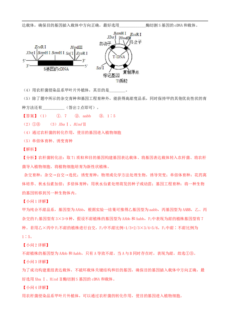 解密19基因工程（讲义）（教师版）_通用版（老高考）复习资料_2023年复习资料_二轮复习_高频考点解密2023年高考生物二轮复习讲义+分层训练（全国通用）