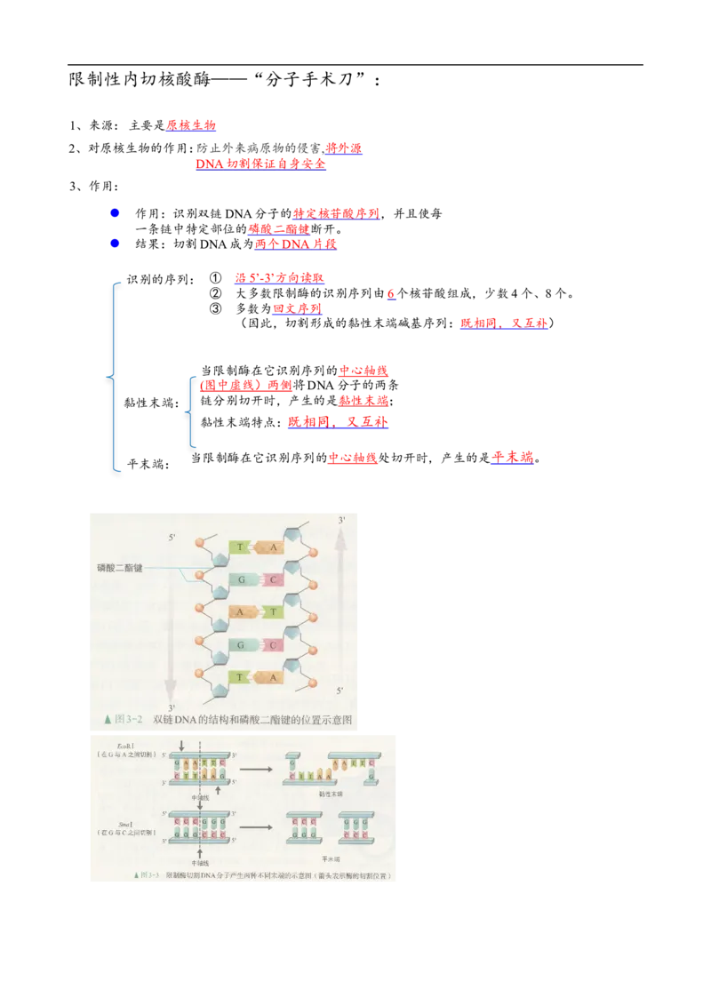 解密19基因工程（讲义）（教师版）_通用版（老高考）复习资料_2023年复习资料_二轮复习_高频考点解密2023年高考生物二轮复习讲义+分层训练（全国通用）