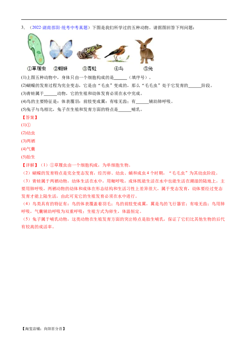 清单08动物的主要类群（2大考点+3大高频命题点）（教师版）_6生物中考复习_2024年中考复习资料_一轮复习资料_完口袋书2024年中考生物一轮复习知识清单_教师版（含答案解析）
