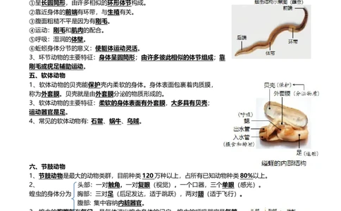 清单08动物的主要类群（2大考点+3大高频命题点）（教师版）_6生物中考复习_2024年中考复习资料_一轮复习资料_完口袋书2024年中考生物一轮复习知识清单_教师版（含答案解析）