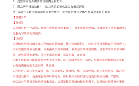 易错点15动物的运动和行为-备战2022年中考生物考试易错题（解析版）_6生物中考复习_2023年中考复习资料_专项复习_备战2022年中考生物考试易错题