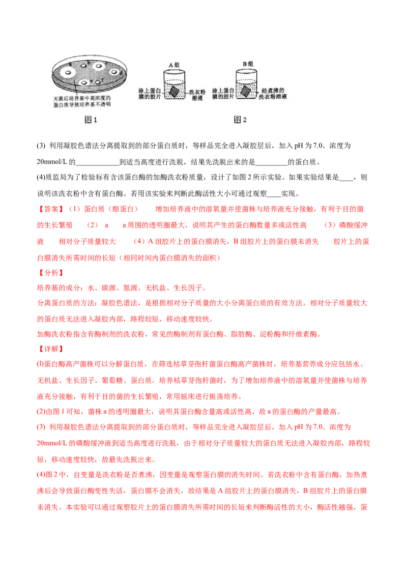 解密24酶的应用（讲义）-高频考点解密2021年高考生物二轮复习讲义+分层训练_新高考复习资料_2021年新高考资料_高频考点解密2021年高考生物二轮复习讲义+分层训练4.7更新
