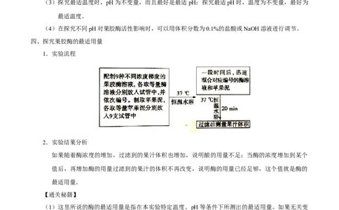解密24酶的应用（讲义）-高频考点解密2021年高考生物二轮复习讲义+分层训练_新高考复习资料_2021年新高考资料_高频考点解密2021年高考生物二轮复习讲义+分层训练4.7更新