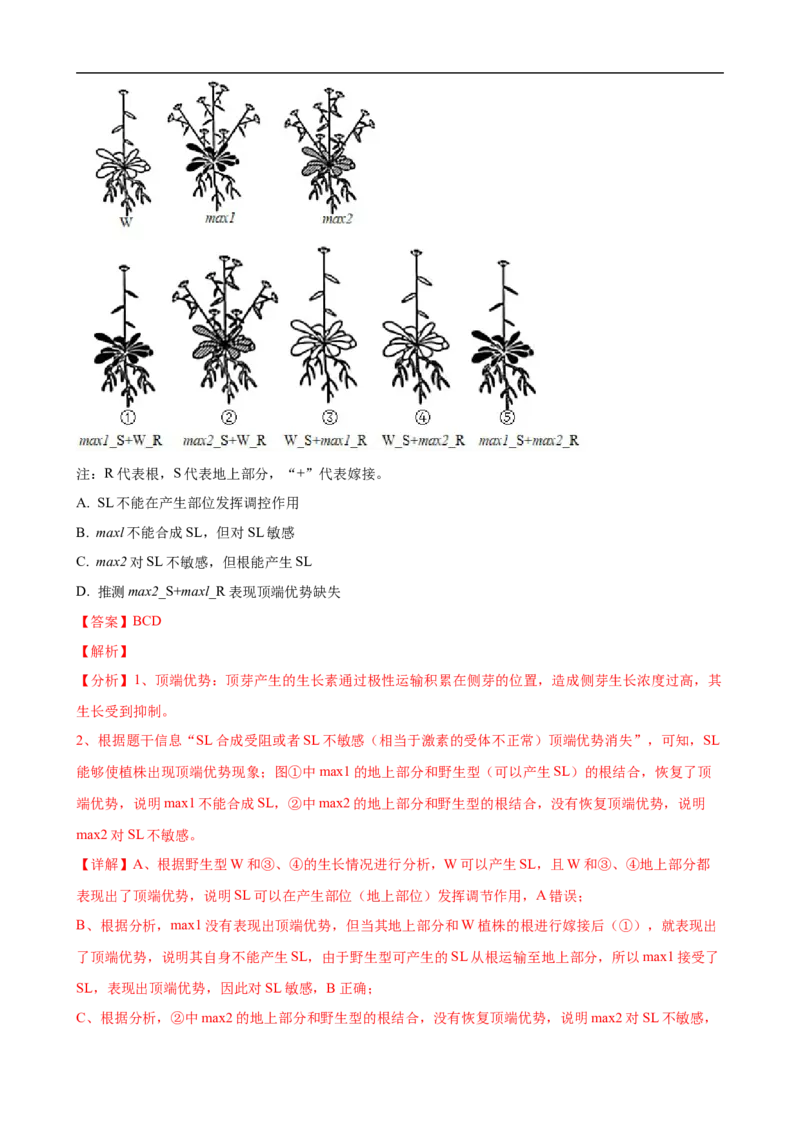 解密14植物生命活动的调节（讲义)（教师版）_通用版（老高考）复习资料_2023年复习资料_二轮复习_高频考点解密2023年高考生物二轮复习讲义+分层训练（全国通用）