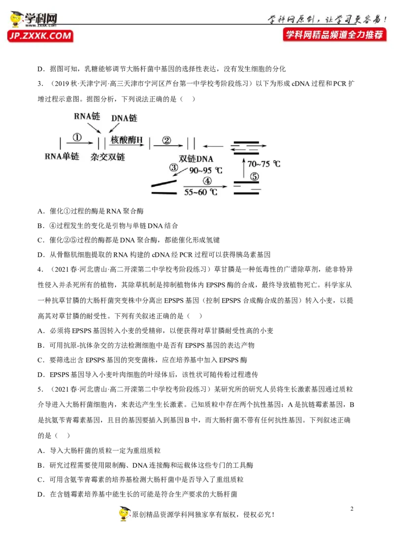 解密19基因工程（分层训练)（原版卷）_新高考复习资料_2023年新高考复习资料_二轮复习_高频考点解密2023年高考生物二轮复习讲义+分层训练（全国通用）288808838