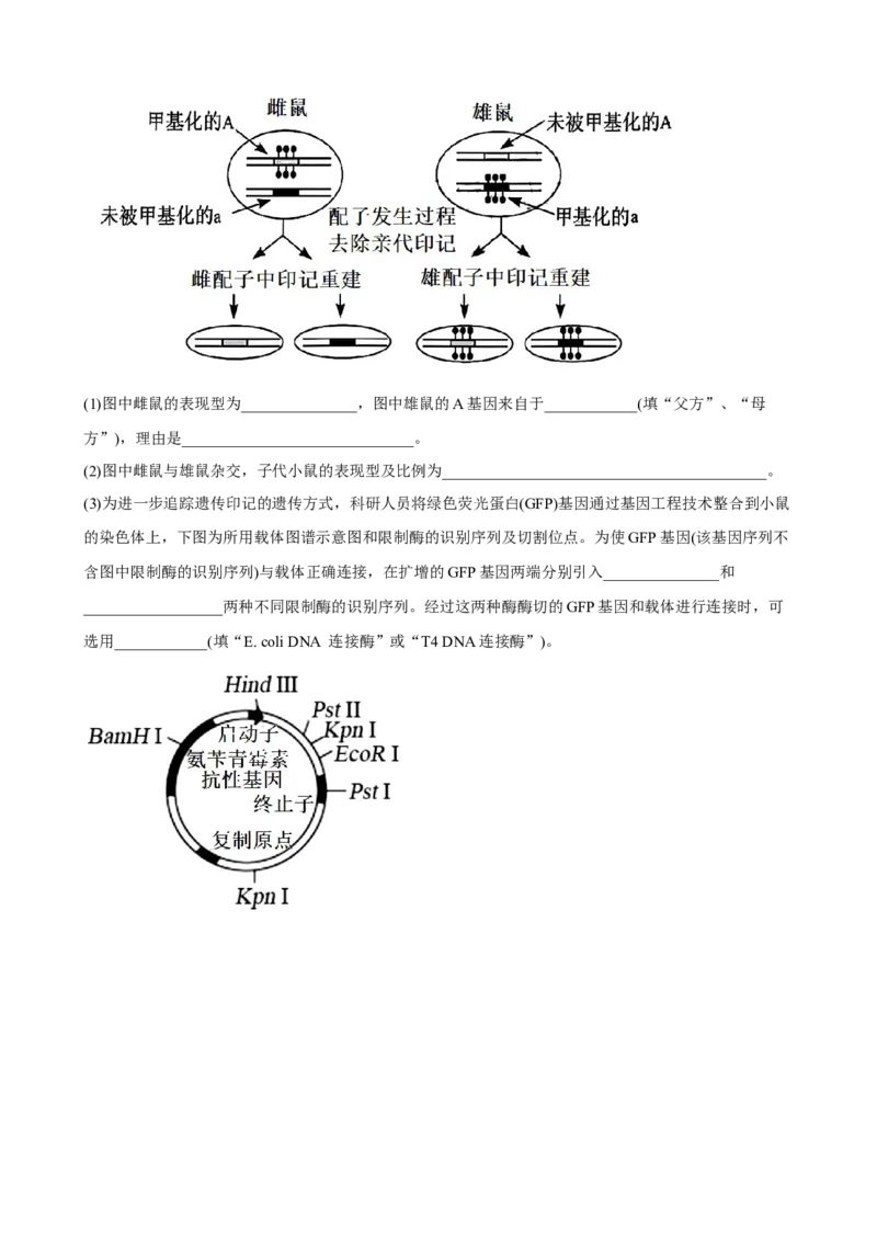解密19基因工程（分层训练)（原版卷）_新高考复习资料_2023年新高考复习资料_二轮复习_高频考点解密2023年高考生物二轮复习讲义+分层训练（全国通用）288808838