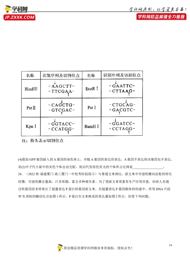解密19基因工程（分层训练)（原版卷）_新高考复习资料_2023年新高考复习资料_二轮复习_高频考点解密2023年高考生物二轮复习讲义+分层训练（全国通用）288808838