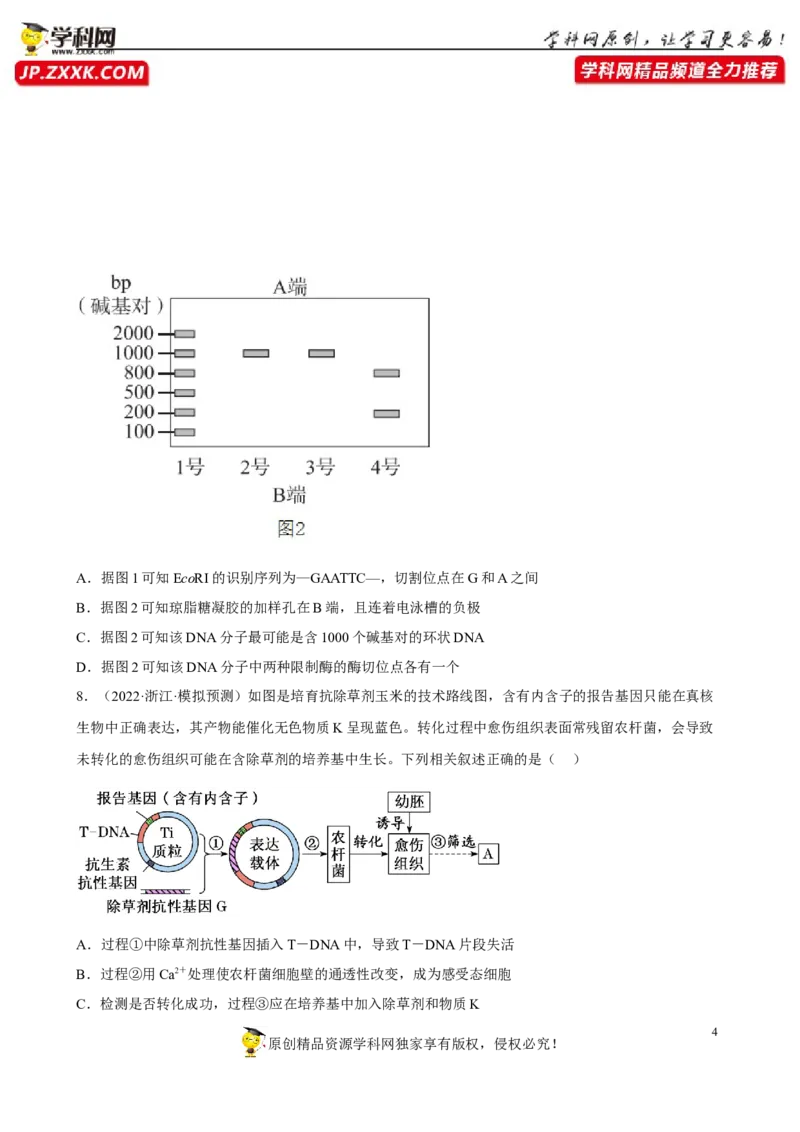 解密19基因工程（分层训练)（原版卷）_新高考复习资料_2023年新高考复习资料_二轮复习_高频考点解密2023年高考生物二轮复习讲义+分层训练（全国通用）288808838