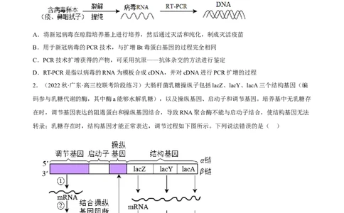解密19基因工程（分层训练)（原版卷）_新高考复习资料_2023年新高考复习资料_二轮复习_高频考点解密2023年高考生物二轮复习讲义+分层训练（全国通用）288808838
