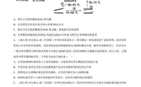 解密19基因工程（分层训练)（原版卷）_新高考复习资料_2023年新高考复习资料_二轮复习_高频考点解密2023年高考生物二轮复习讲义+分层训练（全国通用）288808838